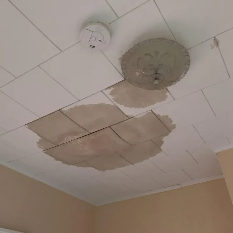 Ceiling Water Damage Repair in Haleyville, AL
