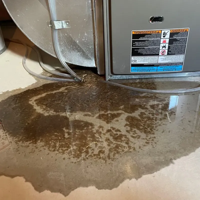 Pipe Burst and Leak Restoration in Haleyville, AL