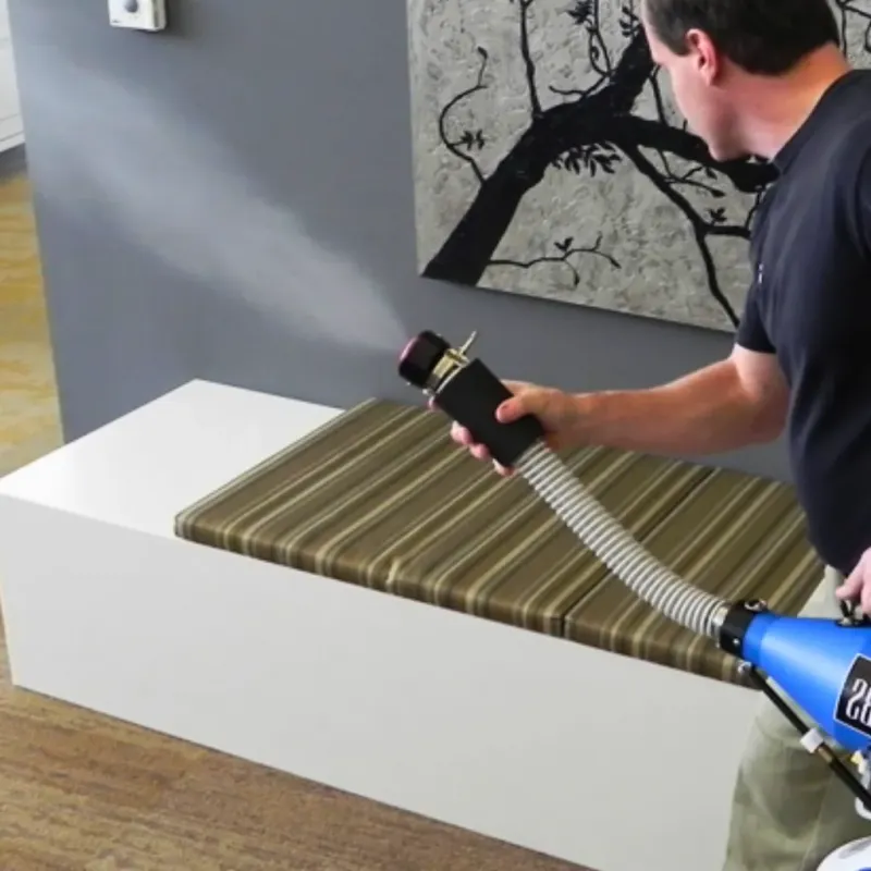 Professional Odor Removal in Haleyville, AL