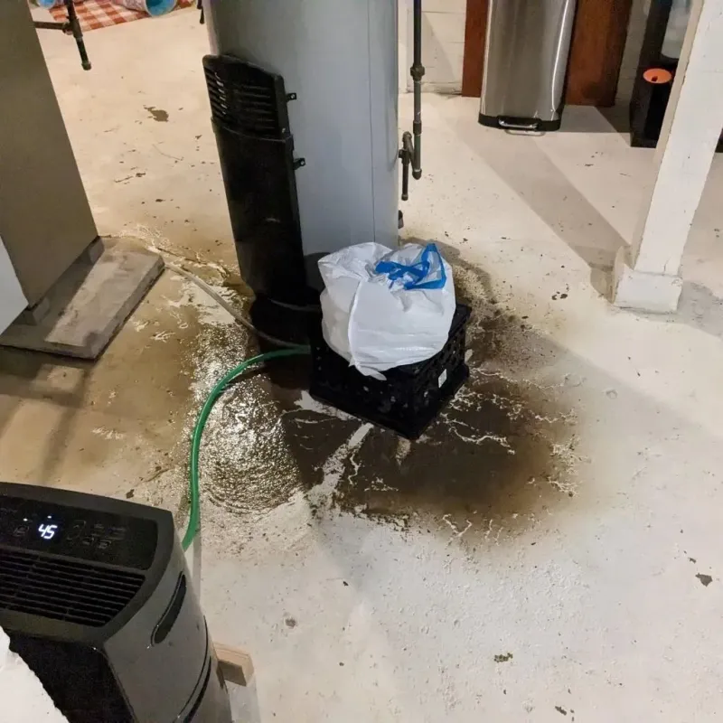 Sewage Backup Cleanup Service in Haleyville, AL
